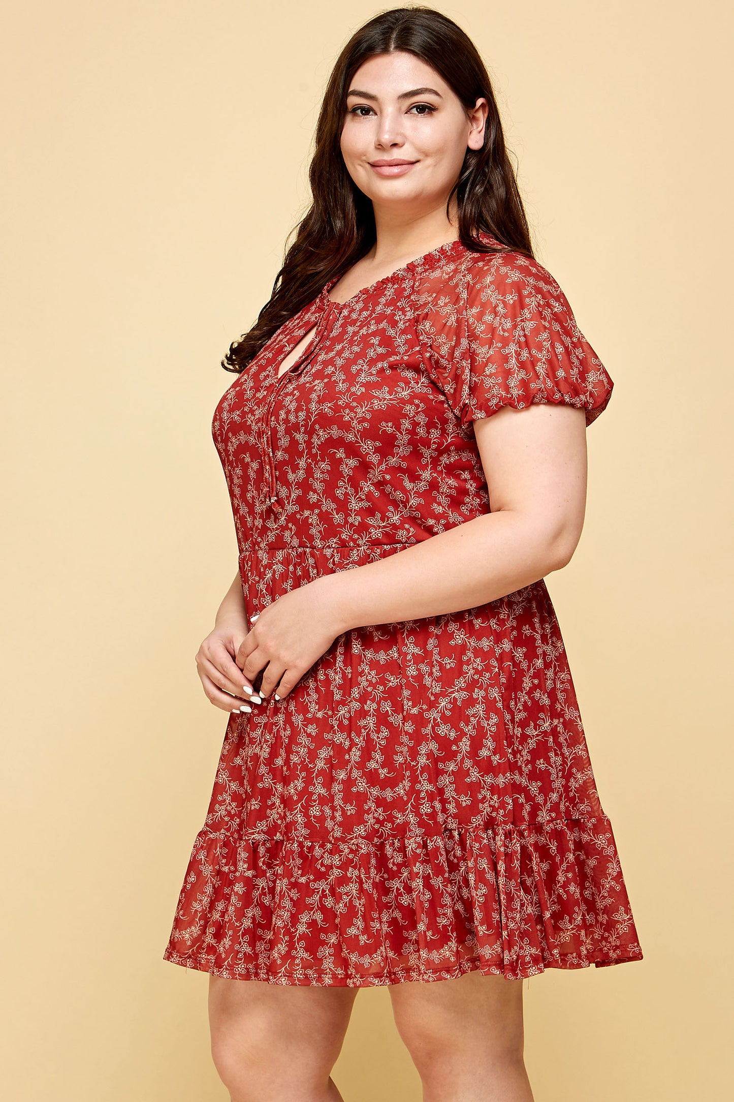 PLUS SIZE FLORAL RED MESH DRESS